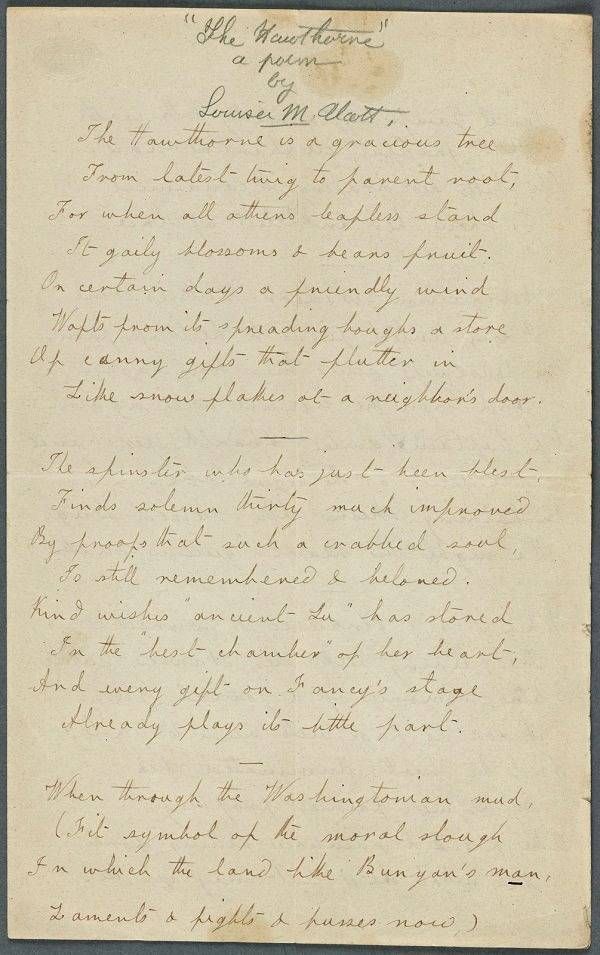 A poem by Louisa May Alcott called The Hawthorne.