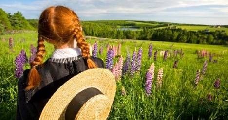 Anne Shirley looking out over flowers and fields artwork