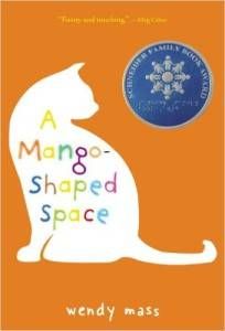 A Mango-Shaped Space by Wendy Mass cover