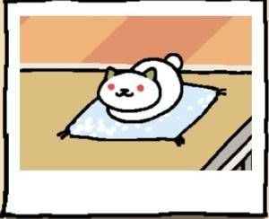 Neko Atsume Cat Frosty