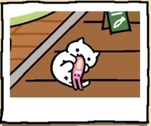 Neko Atsume Cat Snowball