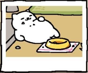 What The Cats Of Neko Atsume Are Reading