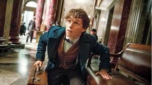 Newt Scamander Eddie Redmayne