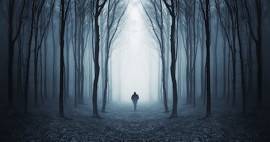 Quiz: What Thriller Protagonist Are You? | BookRiot.com