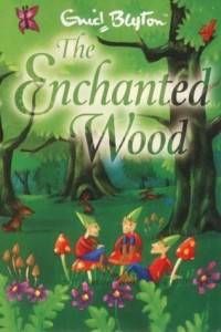 The Enchanted Wood book cover
