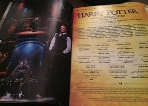 Harry Potter Cursed Child Program II