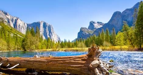 Nature Noir: A Park Ranger's Patrol in the Sierra