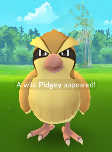 Pokemon Go Pidgey