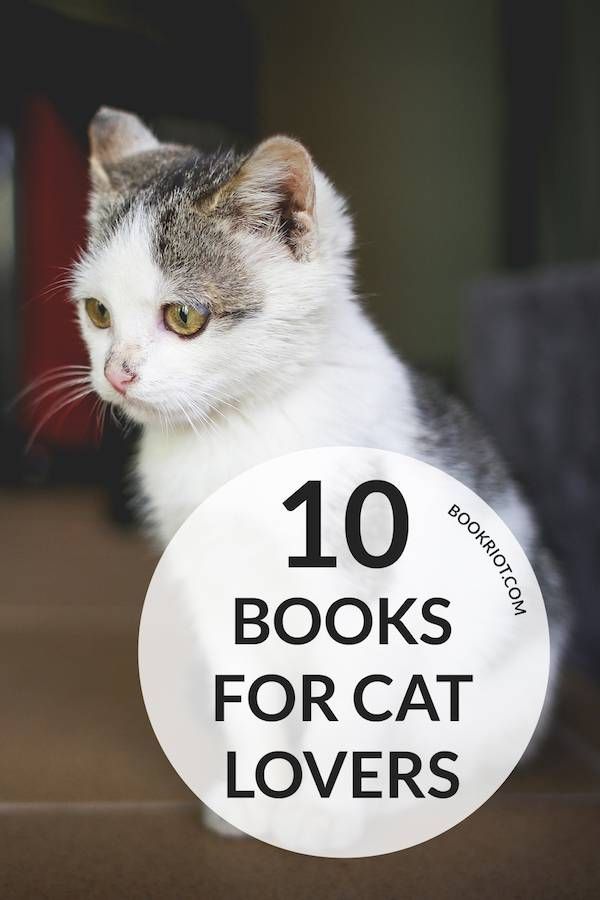 10 Purrfect Cat Books for Cat Lovers - 88