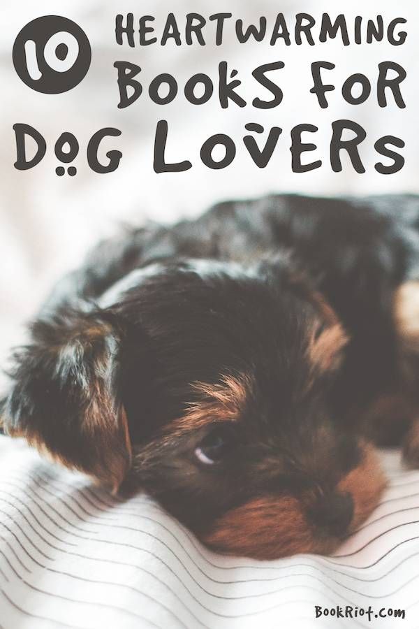 10 Heartwarming Books for Dog Lovers BR