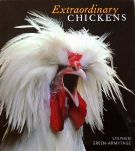 Extraordinary Chickens by Stephen Green-Armytage