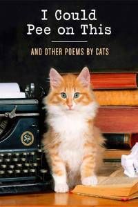 10 Purrfect Cat Books for Cat Lovers - 87