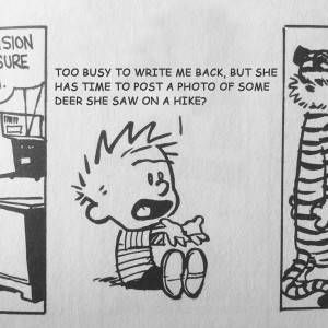 Modern Romance & Calvin and Hobbes Mashup 5