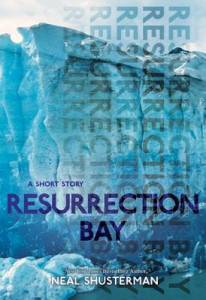 resurrection bay novel resurrection bay novel