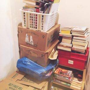 books-for-the-little-free-library