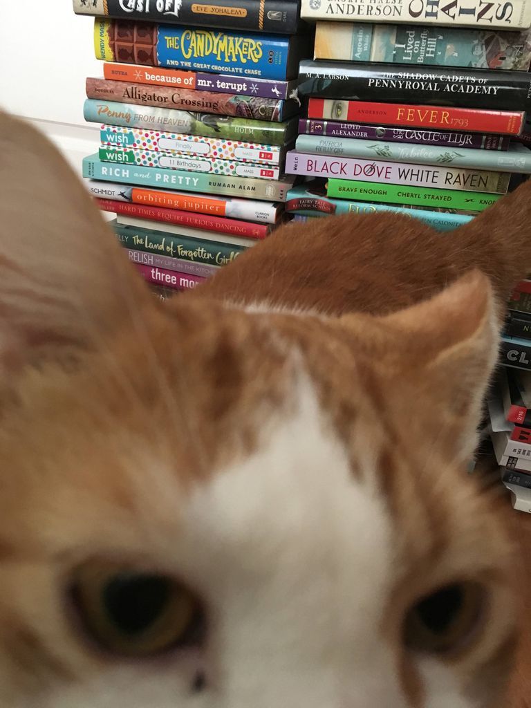 40 Cat Books for National Cat Day - 88