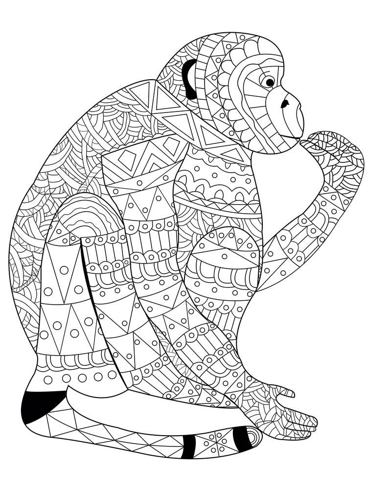 Monkey coloring book for adults vector illustration. Anti-stress coloring for adult. Zentangle style. Black and white. Lace pattern jocko