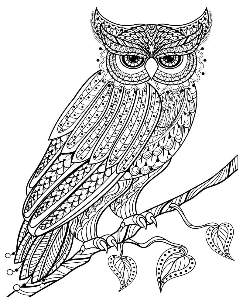 Hand drawn magic Owl sitting on branch for adult anti stress Coloring Page with high details isolated on white background, illustration in zentangle style. Vector monochrome sketch. Bird collection.