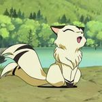 Image of Kirara from Inuyasha by Rumiko Takahashi