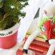 5 Bookish Christmas Eve Traditions to Start This Year