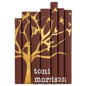 toni-morrison-book-collection