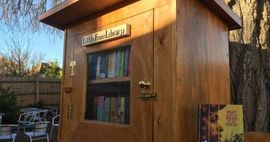 Little Free Library