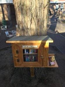 Little Free Library