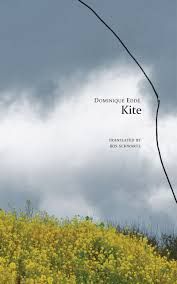 kite