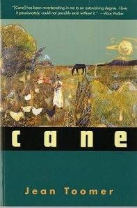 cane-cover