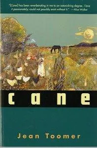 cane-cover
