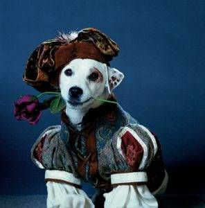 wishbone