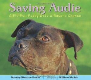Saving Audie - on adopting a dog