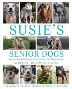 Susie's Senior Dogs - on adopting a dog