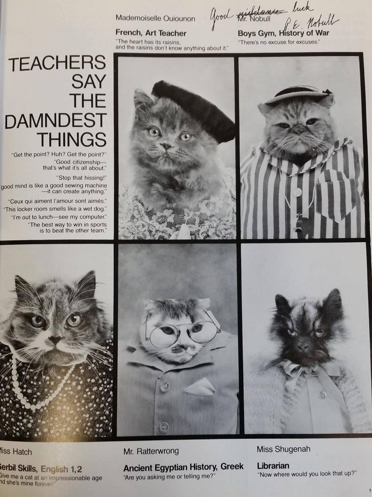 Cat High The Yearbook Page