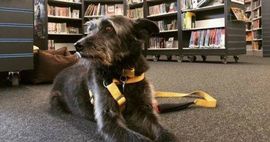 PAWS to Read
