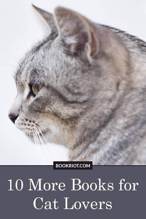 Love your kitty? Check out these amazing books for feline fanatics.