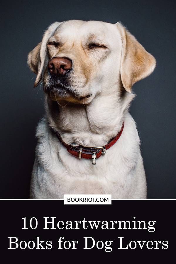 10 books about dogs that will warm your heart and wet your eyes.