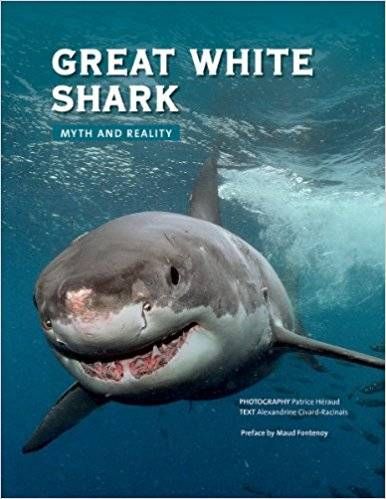 You re Gonna Need a Bigger Boat  15 Great Books for Shark Week - 76