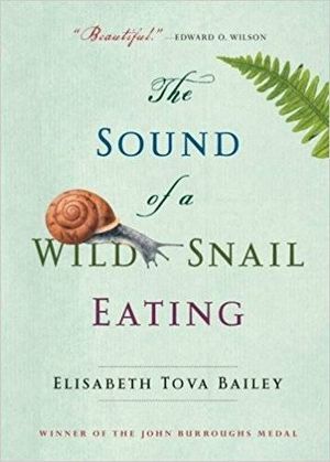sound of a wild snail eating cover