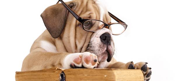 Best Literary Pet Names | BookRiot.com