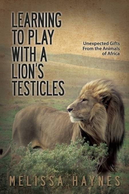 Learning to Play with a Lion's Testicles by Melissa Haynes