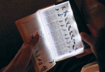 Best Book Lights | BookRiot.com