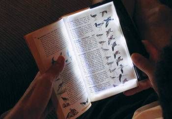 Best Book Lights | BookRiot.com
