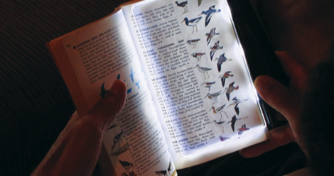 7 Of The Best Book Lights For Every Type Of Reader