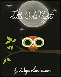 Little Owl's Night