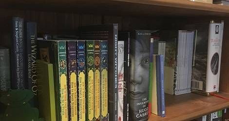 bookcase shelf of books to read with my kids