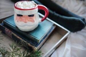 Books with Santa Mug | Holiday Book Exchange