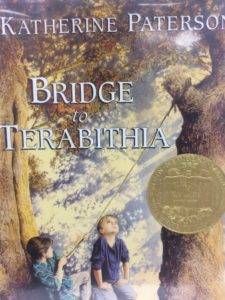 Bridge Book Cover