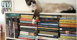 Bookish instagram photo