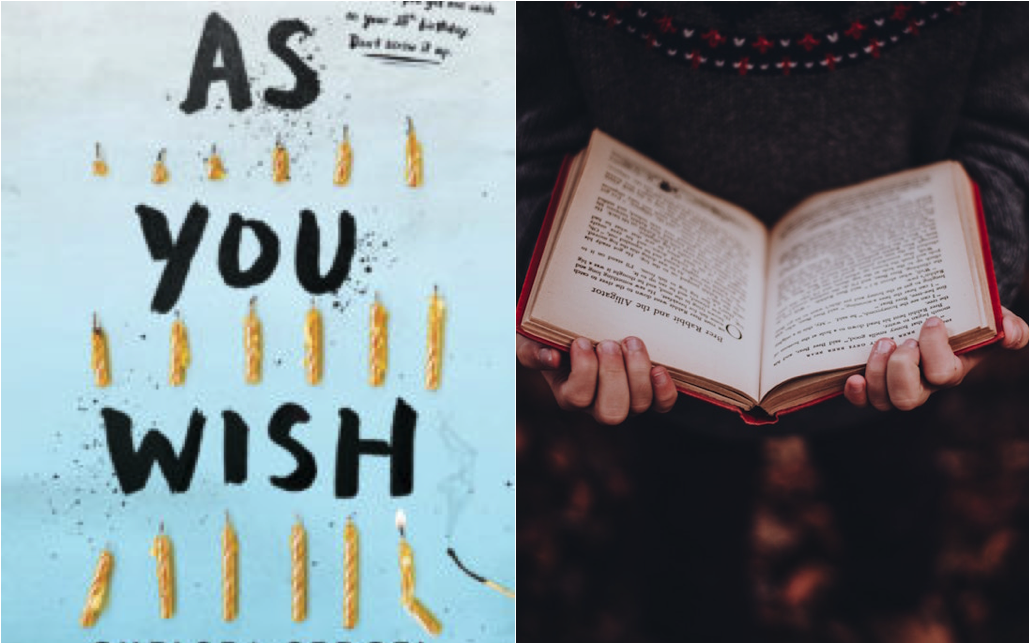 as you wish book chelsea sedoti